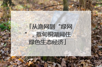 从渔网到“绿网”，蔡甸桐湖网住绿色生态经济