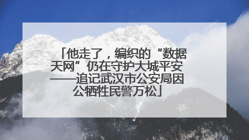 他走了，编织的“数据天网”仍在守护大城平安——追记武汉市公安局因公牺牲民警万松
