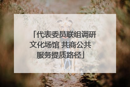 代表委员联组调研文化场馆 共商公共服务提质路径