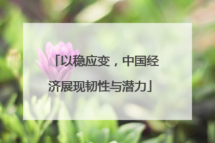 以稳应变,中国经济展现韧性与潜力