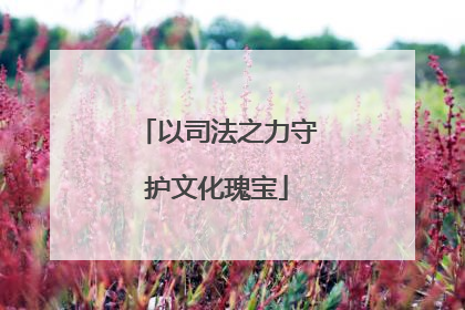 以司法之力守护文化瑰宝