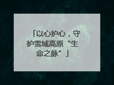 以心护心，守护雪域高原“生命之脉”