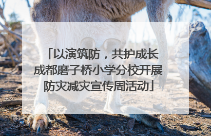 以演筑防，共护成长 成都磨子桥小学分校开展防灾减灾宣传周活动