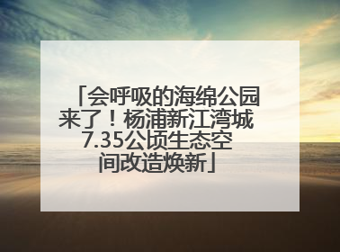 会呼吸的海绵公园来了！杨浦新江湾城7.35公顷生态空间改造焕新