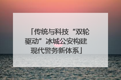 传统与科技“双轮驱动”冰城公安构建现代警务新体系