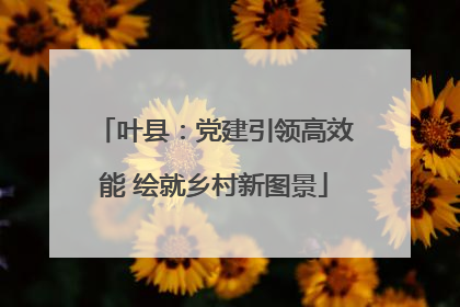 叶县：党建引领高效能 绘就乡村新图景