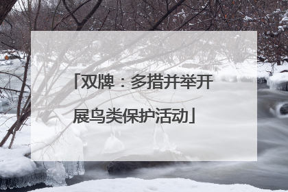 双牌：多措并举开展鸟类保护活动