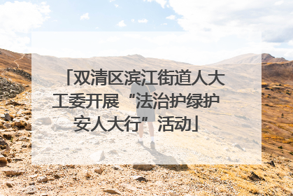 双清区滨江街道人大工委开展“法治护绿护安人大行”活动
