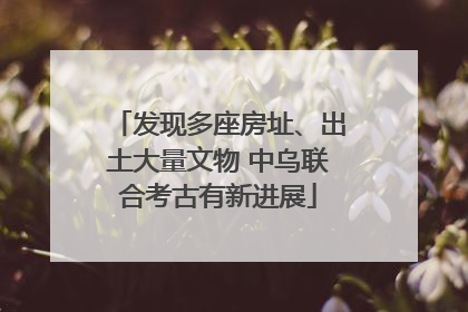 发现多座房址、出土大量文物 中乌联合考古有新进展