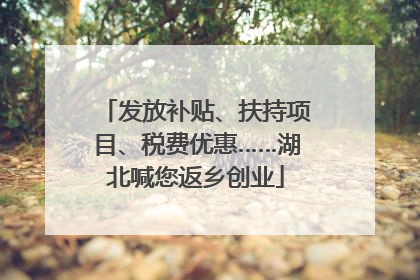 发放补贴、扶持项目、税费优惠……湖北喊您返乡创业