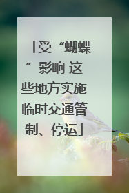 受“蝴蝶”影响 这些地方实施临时交通管制、停运
