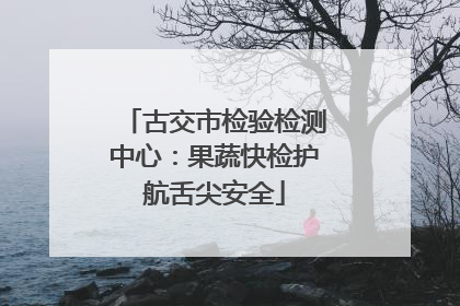 古交市检验检测中心：果蔬快检护航舌尖安全