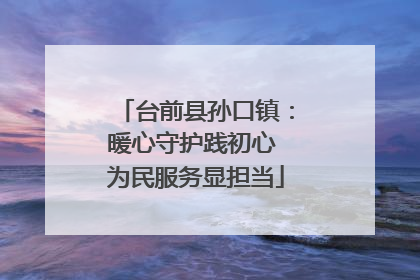 台前县孙口镇：暖心守护践初心 为民服务显担当