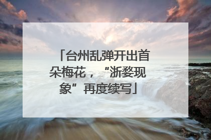 台州乱弹开出首朵梅花，“浙婺现象”再度续写