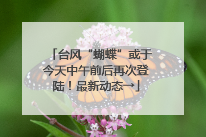 台风“蝴蝶”或于今天中午前后再次登陆！最新动态→