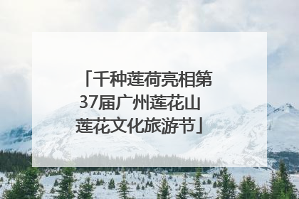 千种莲荷亮相第37届广州莲花山莲花文化旅游节