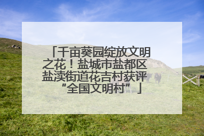 千亩葵园绽放文明之花！盐城市盐都区盐渎街道花吉村获评“全国文明村”