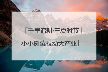 千里追耕·三夏时节丨小小树莓拉动大产业