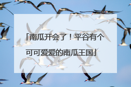 南瓜开会了！平谷有个可可爱爱的南瓜王国