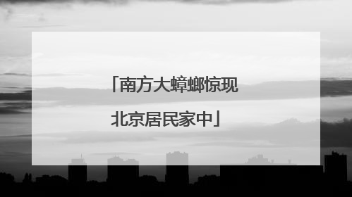 南方大蟑螂惊现北京居民家中