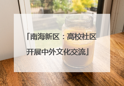 南海新区：高校社区开展中外文化交流