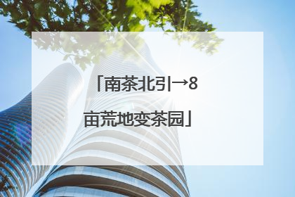 南茶北引→8亩荒地变茶园