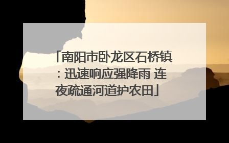 南阳市卧龙区石桥镇：迅速响应强降雨 连夜疏通河道护农田