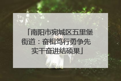 南阳市宛城区五里堡街道：奋楫笃行勇争先 实干奋进结硕果