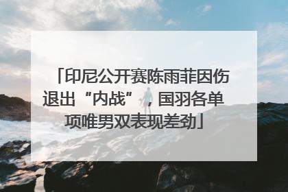 印尼公开赛陈雨菲因伤退出“内战”，国羽各单项唯男双表现差劲