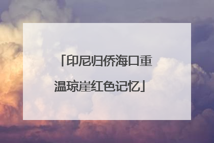 印尼归侨海口重温琼崖红色记忆