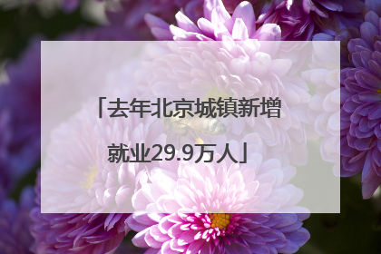 去年北京城镇新增就业29.9万人