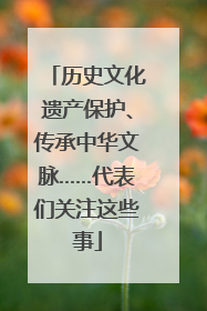 历史文化遗产保护、传承中华文脉……代表们关注这些事
