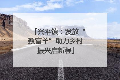 兴平镇：发放“致富羊”助力乡村振兴启新程