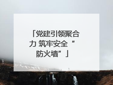 党建引领聚合力 筑牢安全“防火墙”