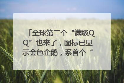 全球第二个“满级QQ”也来了，图标已显示金色企鹅，系首个“满级QQ”的小号
