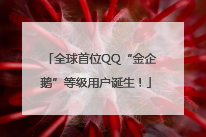 全球首位QQ“金企鹅”等级用户诞生！