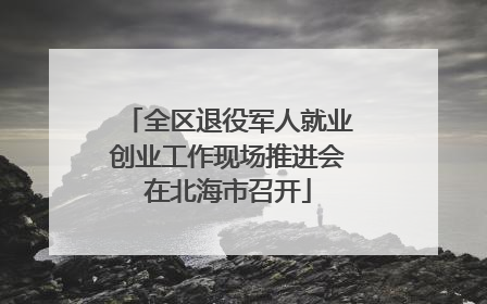 全区退役军人就业创业工作现场推进会在北海市召开