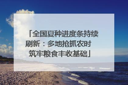 全国夏种进度条持续刷新：多地抢抓农时 筑牢粮食丰收基础