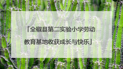 全椒县第二实验小学劳动教育基地收获成长与快乐