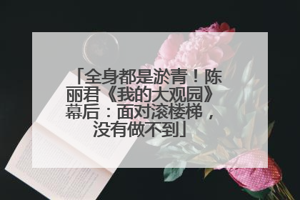 全身都是淤青！陈丽君《我的大观园》幕后：面对滚楼梯，没有做不到