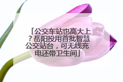 公交车站也高大上？岳阳投用首批智慧公交站台，可无线充电还带卫生间