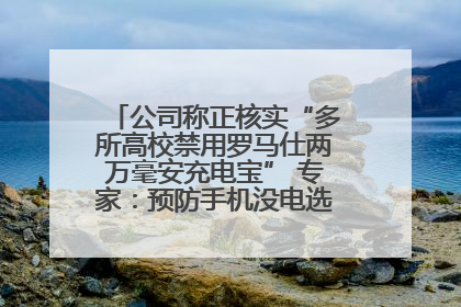 公司称正核实“多所高校禁用罗马仕两万毫安充电宝” 专家：预防手机没电选中等体积产品即可