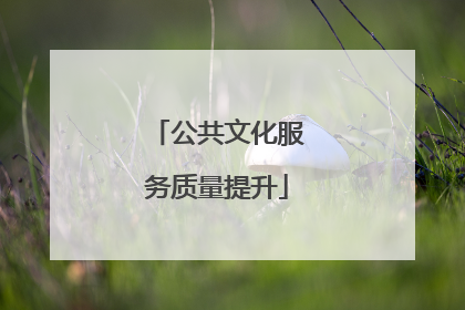 公共文化服务质量提升