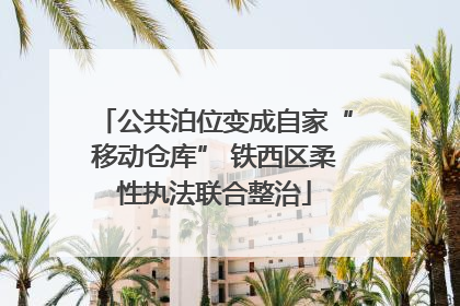 公共泊位变成自家“移动仓库” 铁西区柔性执法联合整治