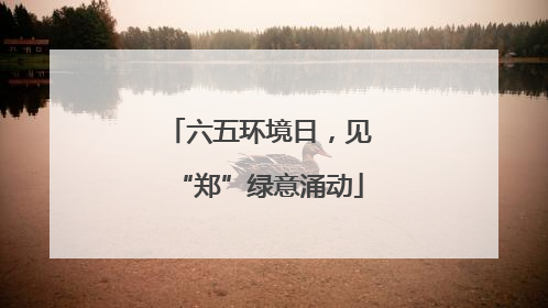 六五环境日，见“郑”绿意涌动