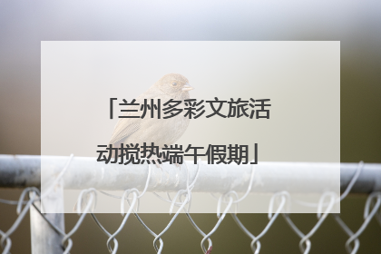 兰州多彩文旅活动搅热端午假期