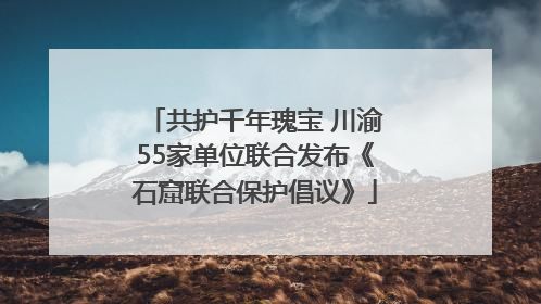 共护千年瑰宝 川渝55家单位联合发布《石窟联合保护倡议》