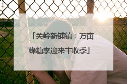 关岭新铺镇：万亩蜂糖李迎来丰收季