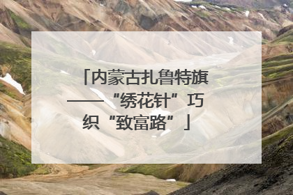 内蒙古扎鲁特旗——“绣花针”巧织“致富路”