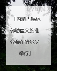 内蒙古锡林郭勒盟文旅推介会在哈尔滨举行